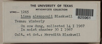 Image Associated With the Occurence